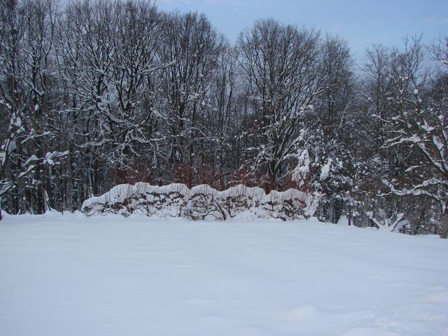 ograda od vrbe u snijegu